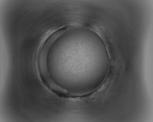 X0000088190193200705221709