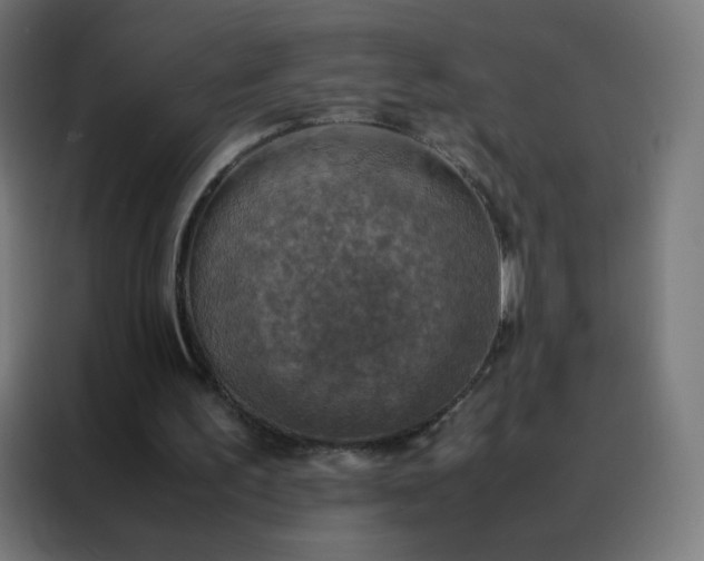 X0000088190195200705221709