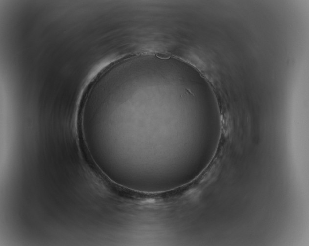 X0000088190196200705221709
