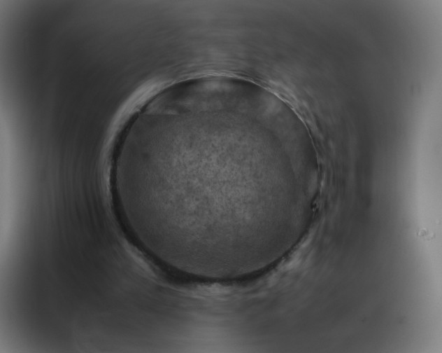 X0000088190197200705221709