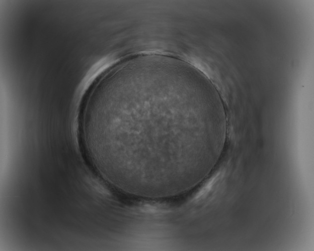 X0000088190199200705221709