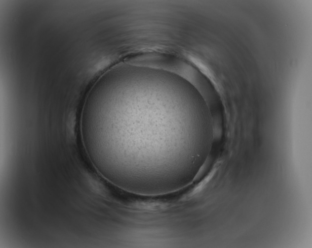 X0000088190201200705221709