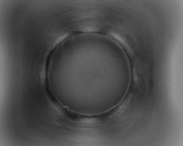 X0000088190202200705221709