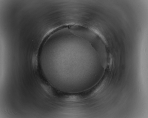 X0000088190204200705221709
