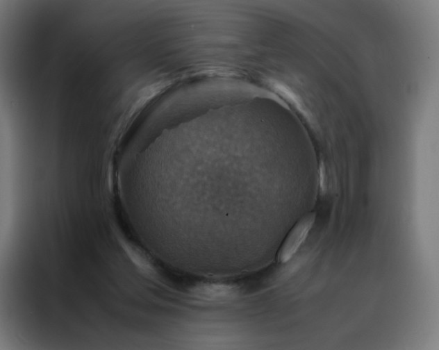 X0000088190205200705221709
