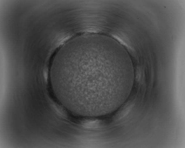 X0000088190206200705221709