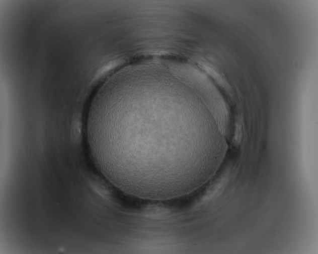 X0000088190207200705221709