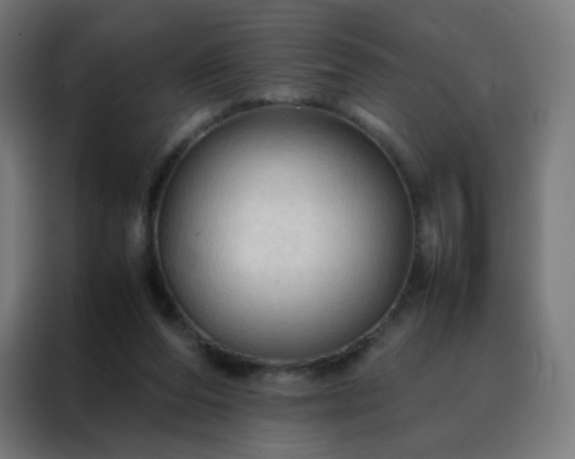 X0000088190208200705221709