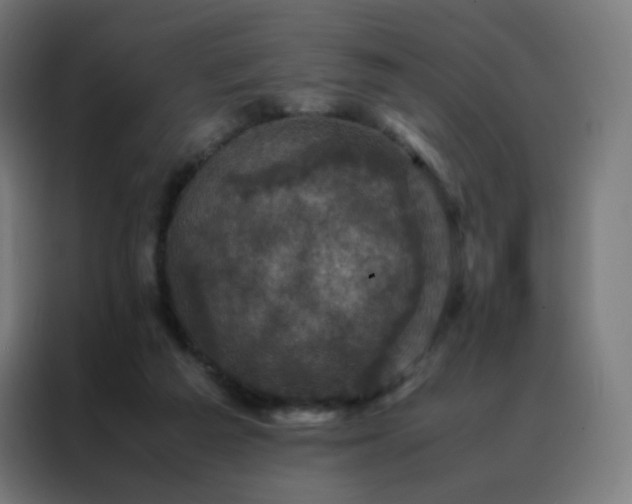 X0000088190209200705221709