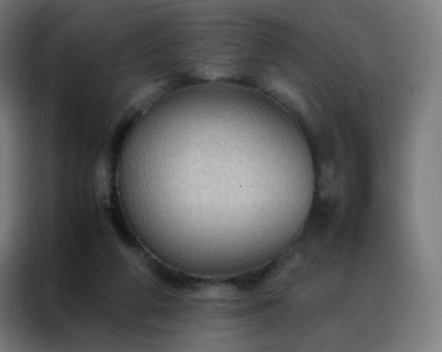 X0000088190210200705221709