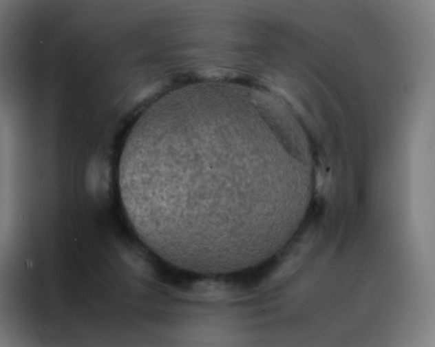 X0000088190211200705221709