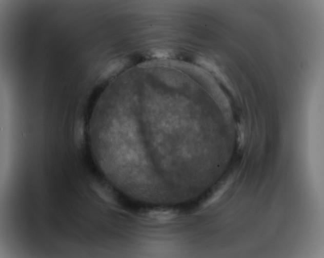 X0000088190213200705221709