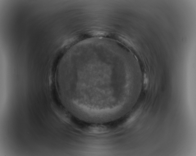 X0000088190215200705221709
