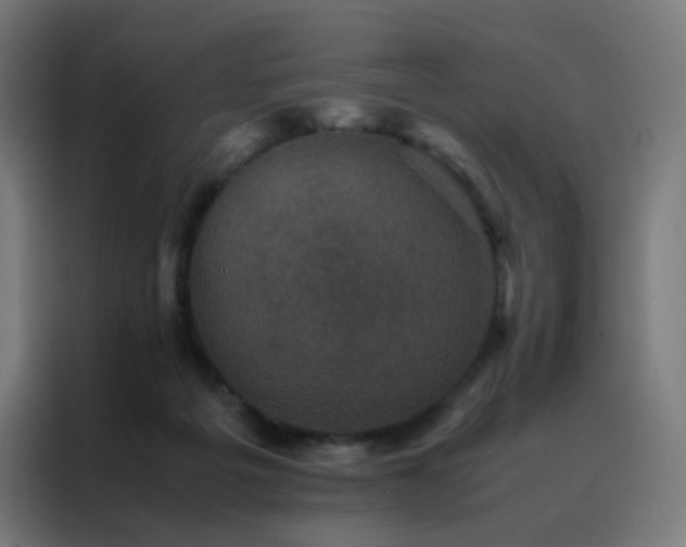 X0000088190217200705221709