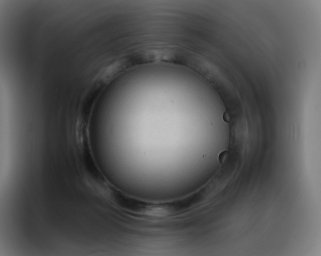 X0000088190218200705221709