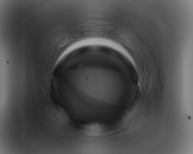 X0000088190219200705221709