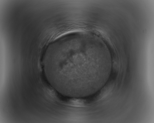 X0000088190221200705221709