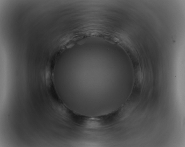 X0000088190222200705221709