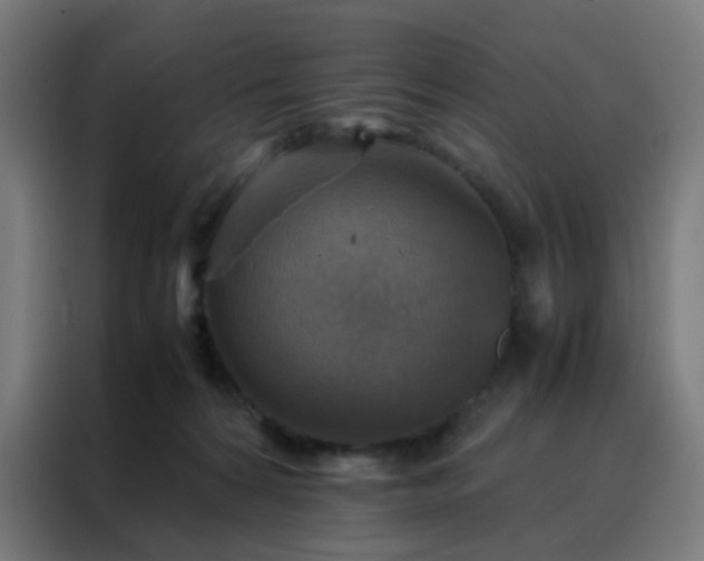 X0000088190224200705221709