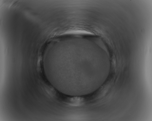 X0000088190225200705221709