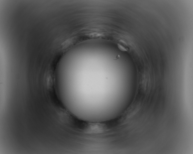 X0000088190226200705221709