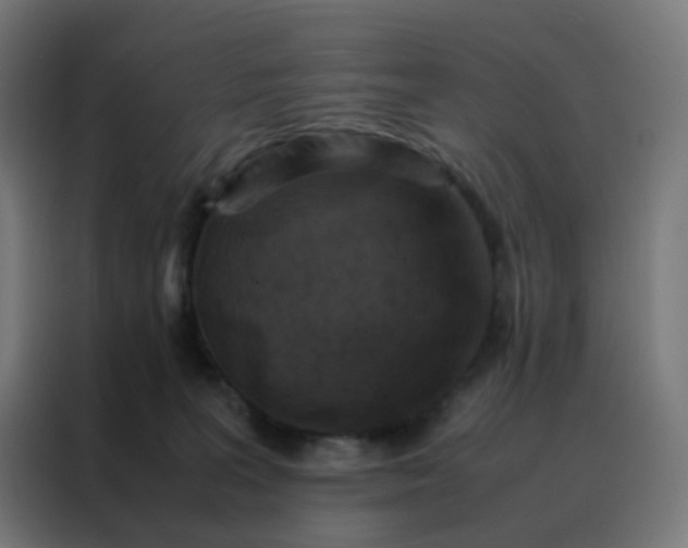 X0000088190227200705221709