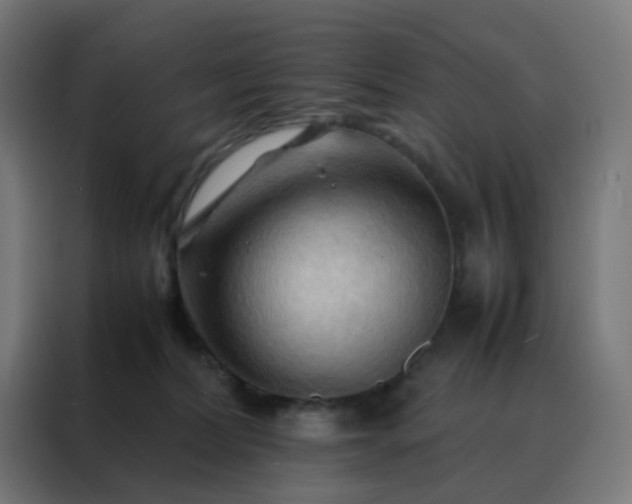 X0000088190228200705221709