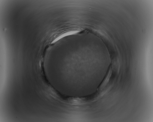 X0000088190229200705221709