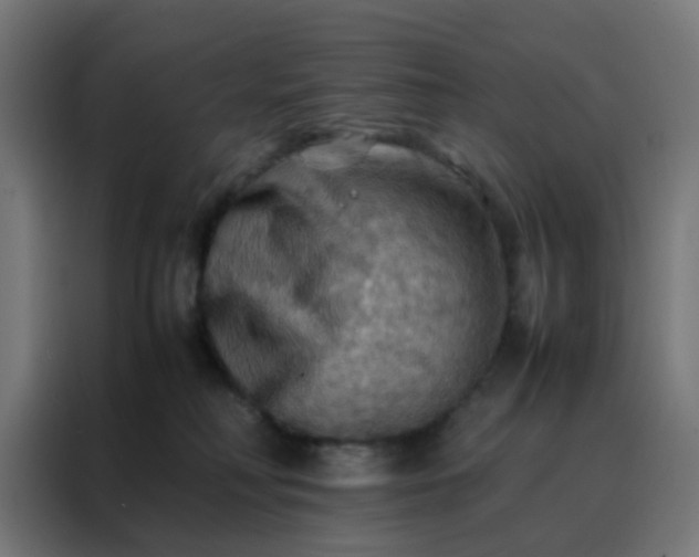 X0000088190230200705221709