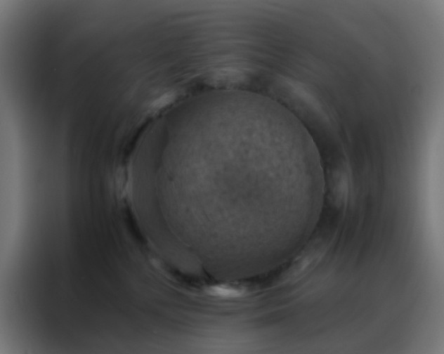 X0000088190232200705221709