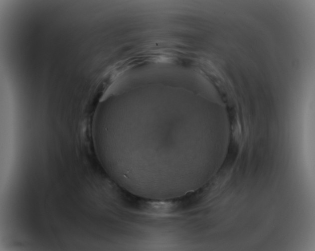X0000088190233200705221709