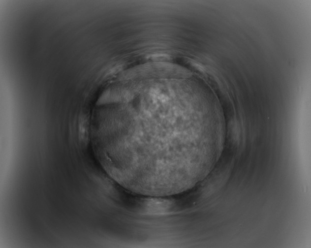 X0000088190234200705221709