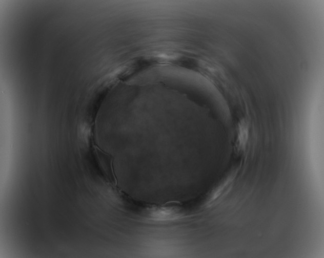 X0000088190235200705221709