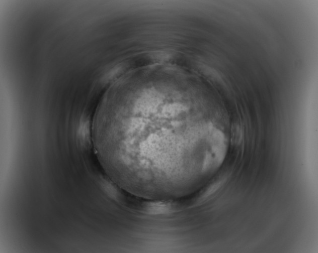 X0000088190238200705221709