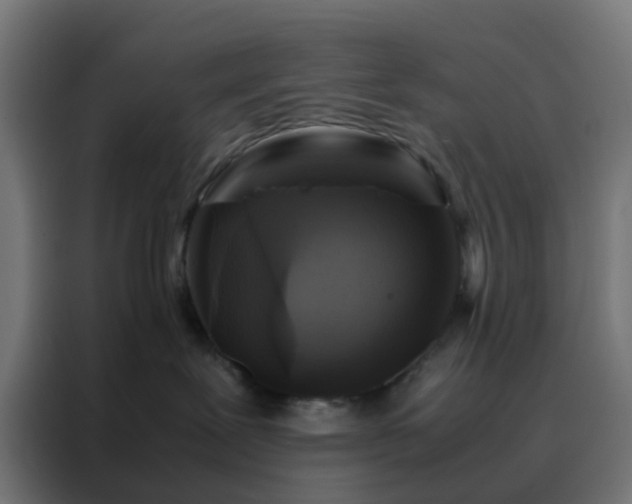 X0000088190239200705221709