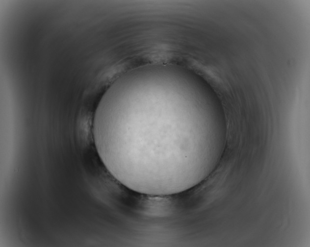 X0000088190240200705221709