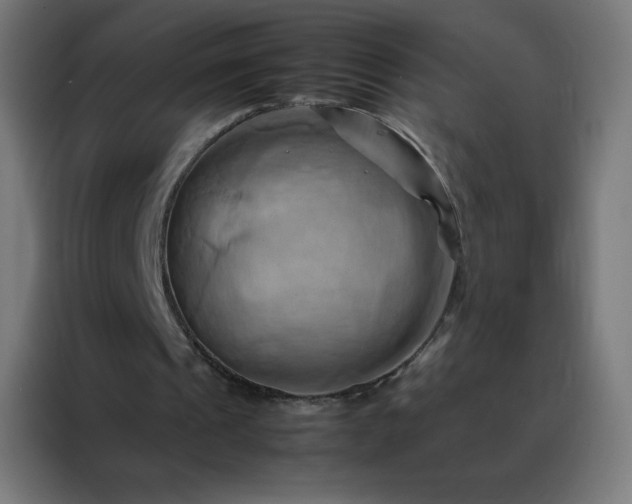 X0000088190241200705221708