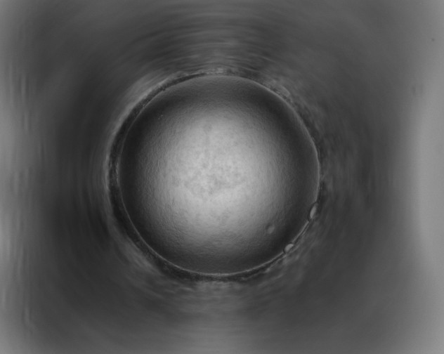 X0000088190242200705221708