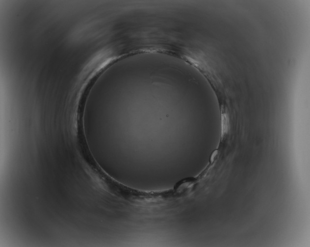 X0000088190243200705221708