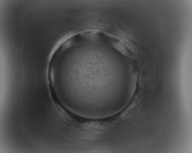X0000088190244200705221708
