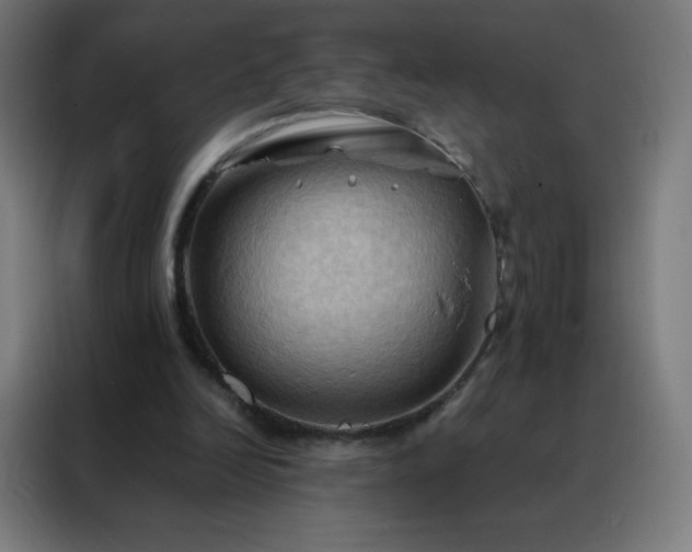 X0000088190246200705221708