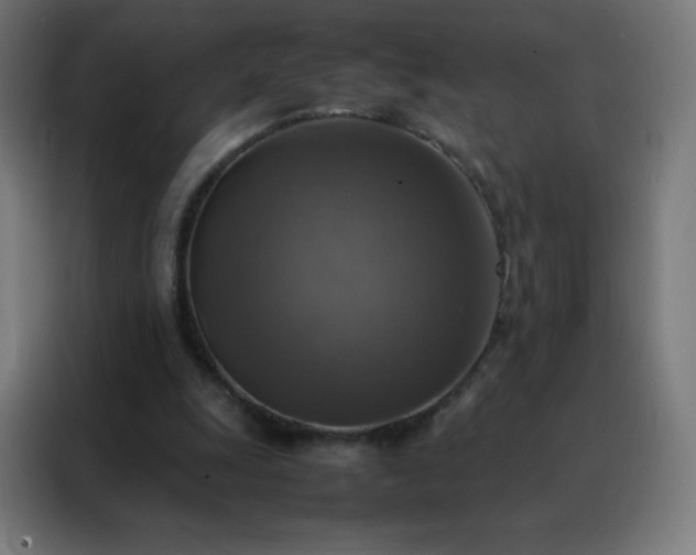 X0000088190247200705221708