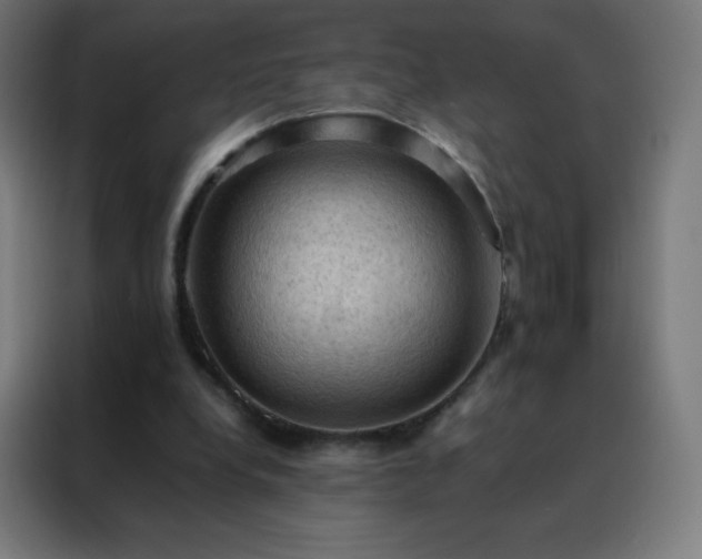 X0000088190248200705221708