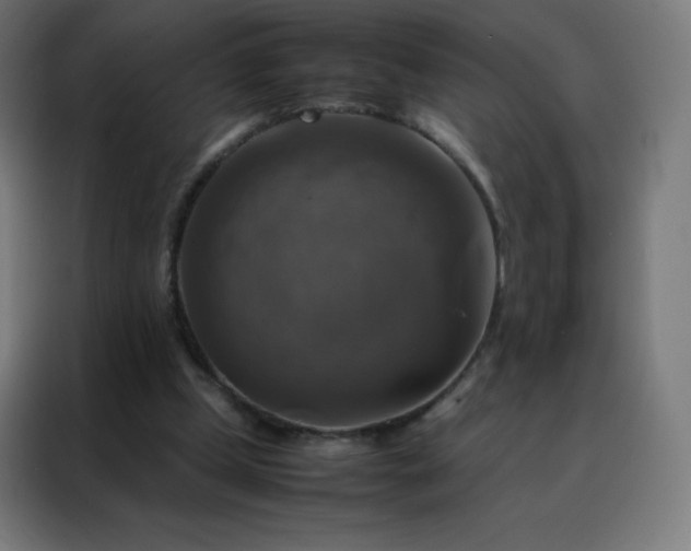 X0000088190249200705221708