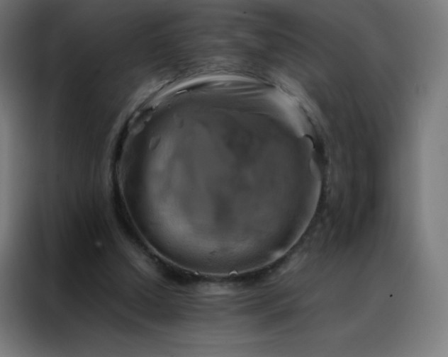 X0000088190250200705221708