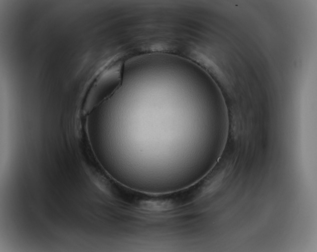 X0000088190251200705221708