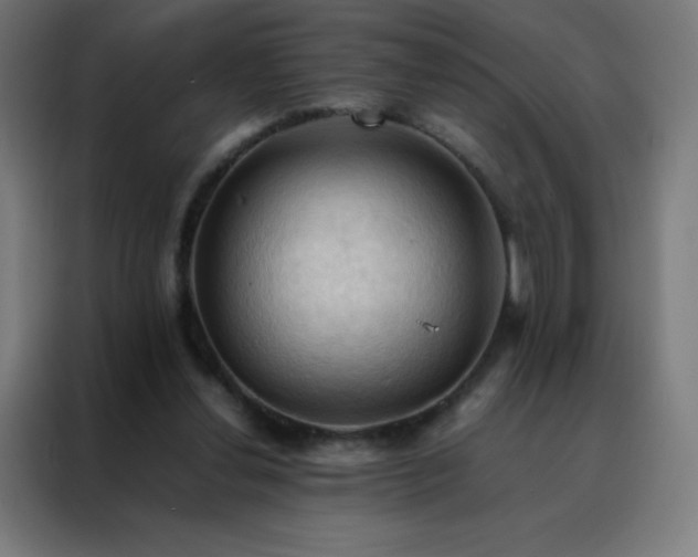 X0000088190252200705221708