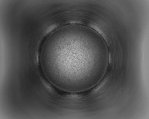 X0000088190253200705221708