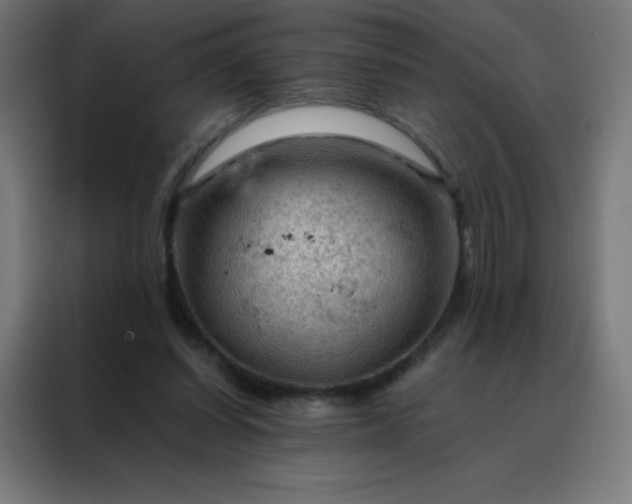 X0000088190254200705221708