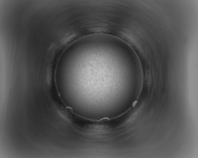 X0000088190255200705221708